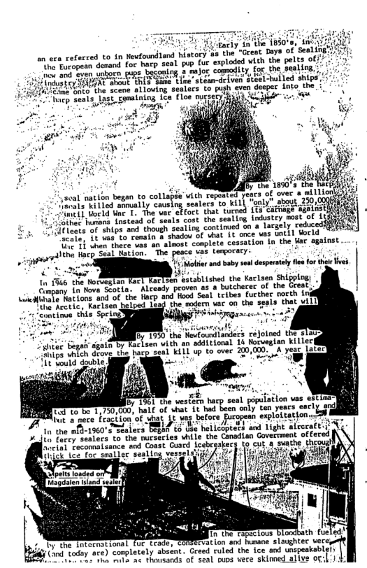 L iy i the 18308, an ez cefecced to in Newfound1and history ’sa the “Great Doys o e denand foc harp seal pup (ur exploded with the e e b fups beconing  maJox camadity for he gty SOAL Shoot GhLS Sasm Cine’tesmdelven sccel-hul) AISEER e Scane alloving seatecs to pugh ey seats, Inst emaining ice (loe nyssecy  ,seal nation began to collaj Havals killed anmually causing s ~mti] Vorld e 1. The vac effoct that tuened  otnes humans instead of seals cost the sealing industey most of it ?luses of ships and though sealing continued on a lacgely ceduced; {128t" 51 tas to renain a shadov of hat it once vas until Vocld Ve Tt dhen thece vas an almost camplete  cessation in the War sgainst "The peace vas teapocary: TR  1 o and by s dsprly o for the e Tn 1346 the Norvegian T%en established the Kaclsen Shipps G o uova Scotia. ALready proven as a butchacee of the LiicHihate fations and of the tacp e Sectic, karisen telbed 1  56T the weslomn harp seal population vas est TaL of shat Lt had been only ten yeacs eac]  oy e to bo 1,750,000,  It a mece fraction of uhat it wes befoce  5 2 e T the mf-1960" s Faaiers oL (5 Use hellcoptets and light alrcratt.  ecial reconnaisance and Coast Guard lcebesa)  ERC  £, Ly the intecnational (and tody  Fapacious b oeENVatlon end hunane slaughter were, ) completely absent.  Greed ruled the ice and unspeakablers Tha s as thousands of seal ouos wece skinned ally  